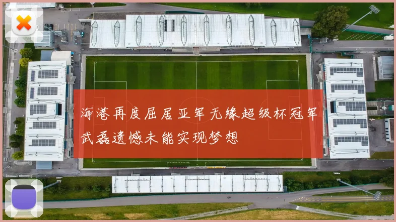 海港再度屈居亚军无缘超级杯冠军武磊遗憾未能实现梦想